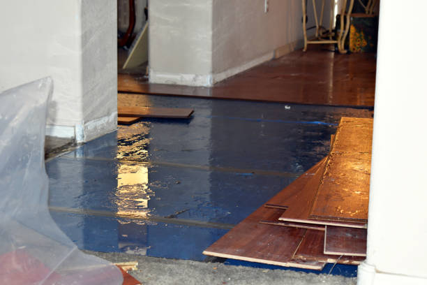 Professional Water Damage Restoration technician working in Hope, RI